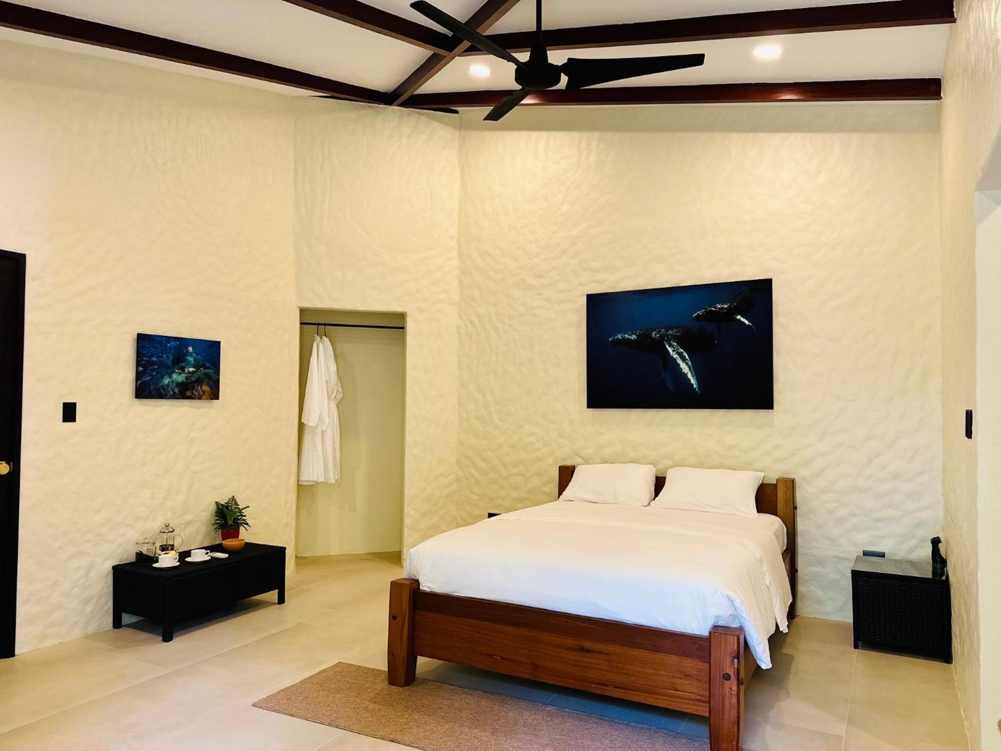 Corcovado Wilderness Lodge By Scp San Pedrillo Extérieur photo