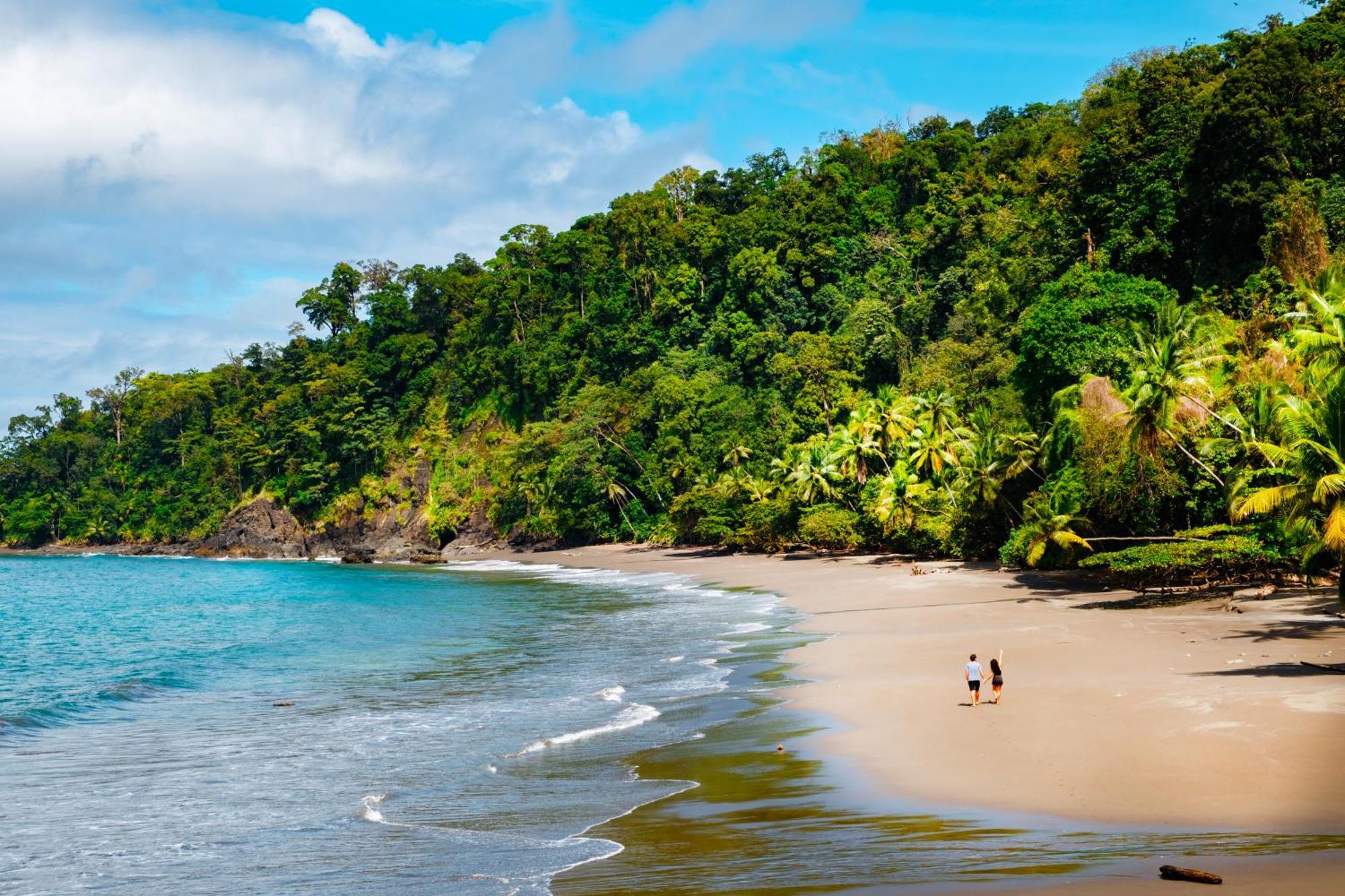 Corcovado Wilderness Lodge By Scp San Pedrillo Extérieur photo