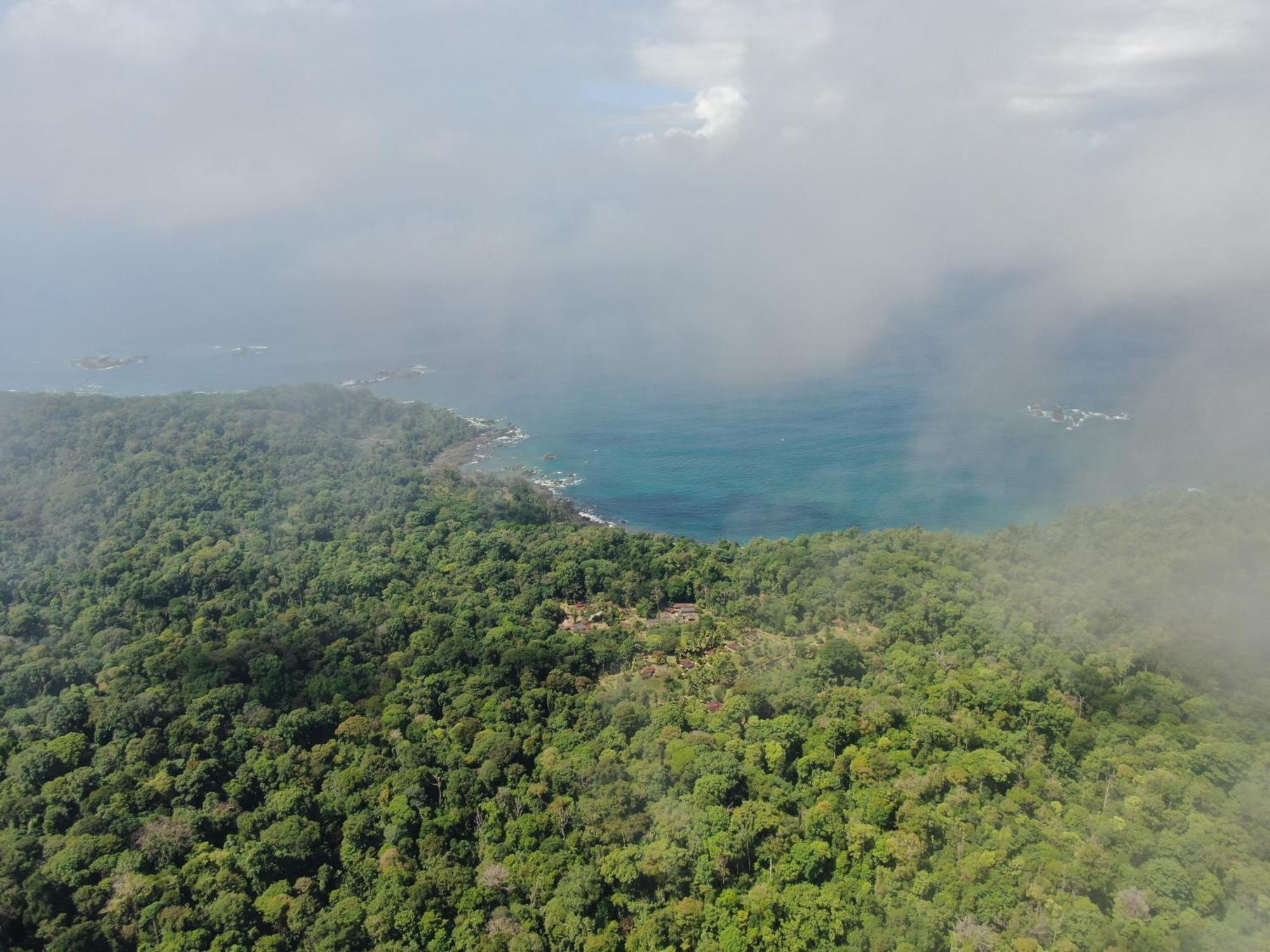 Corcovado Wilderness Lodge By Scp San Pedrillo Extérieur photo