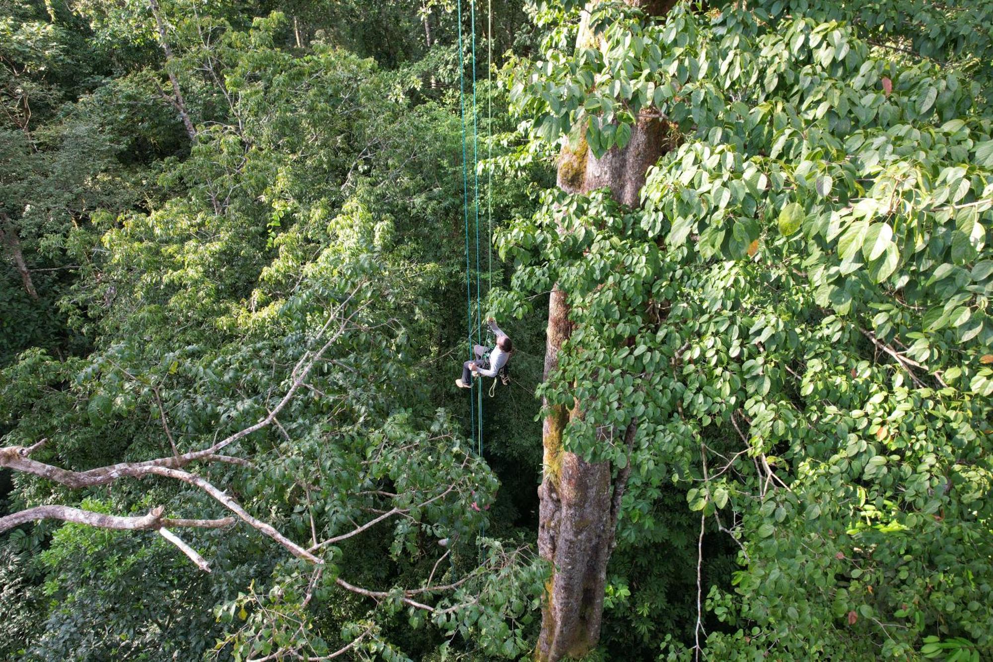 Corcovado Wilderness Lodge By Scp San Pedrillo Extérieur photo