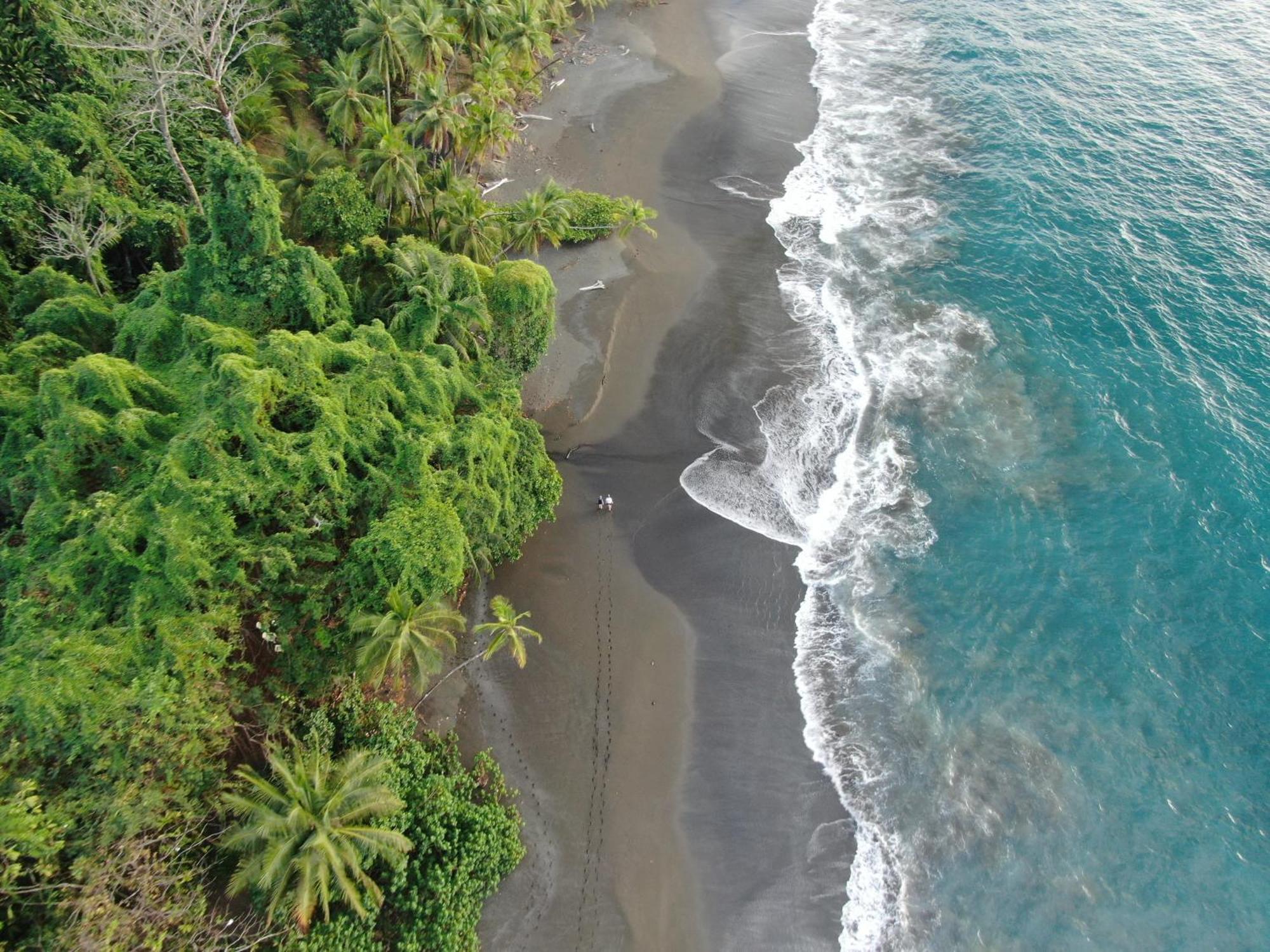 Corcovado Wilderness Lodge By Scp San Pedrillo Extérieur photo