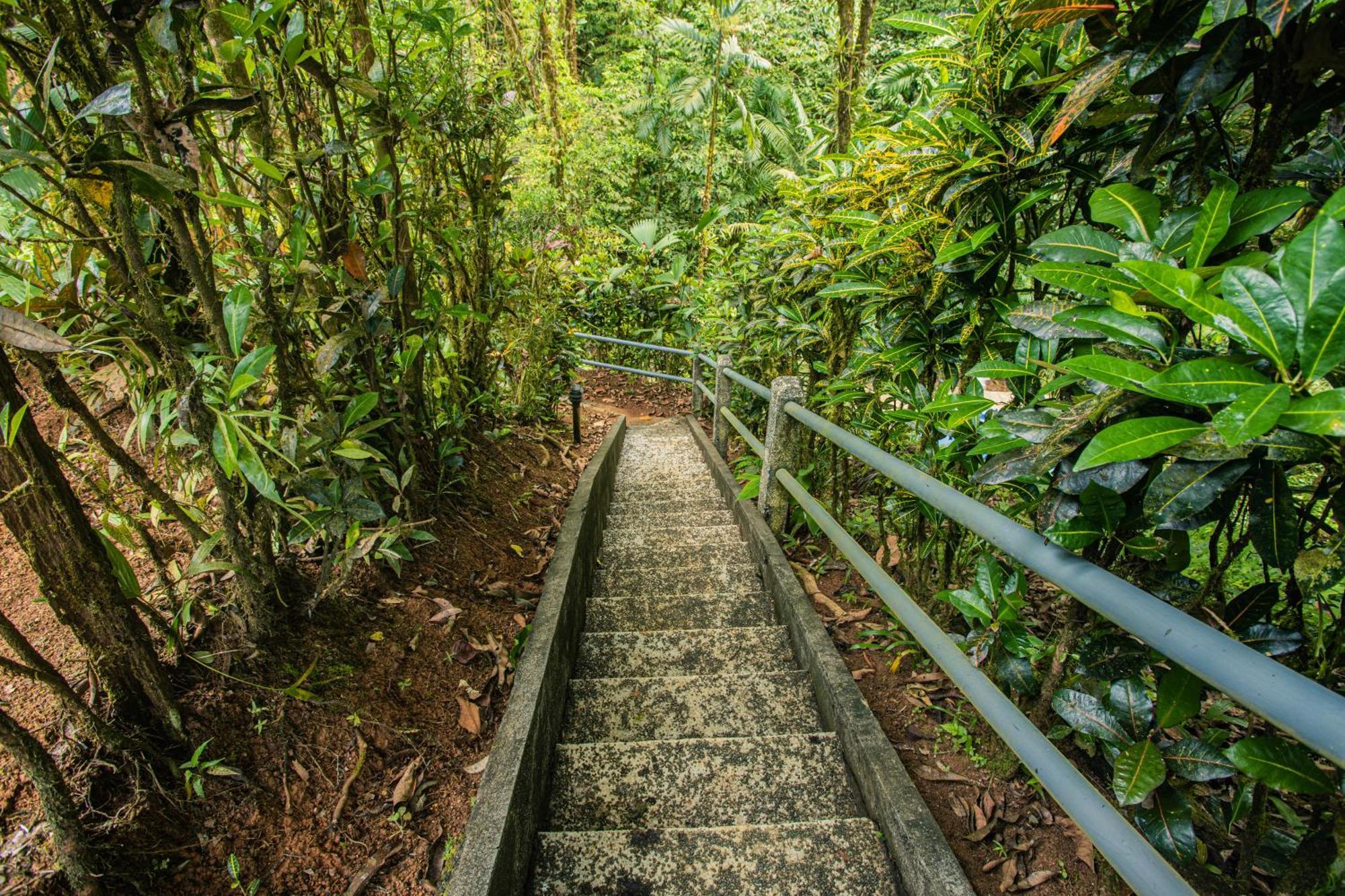 Corcovado Wilderness Lodge By Scp San Pedrillo Extérieur photo
