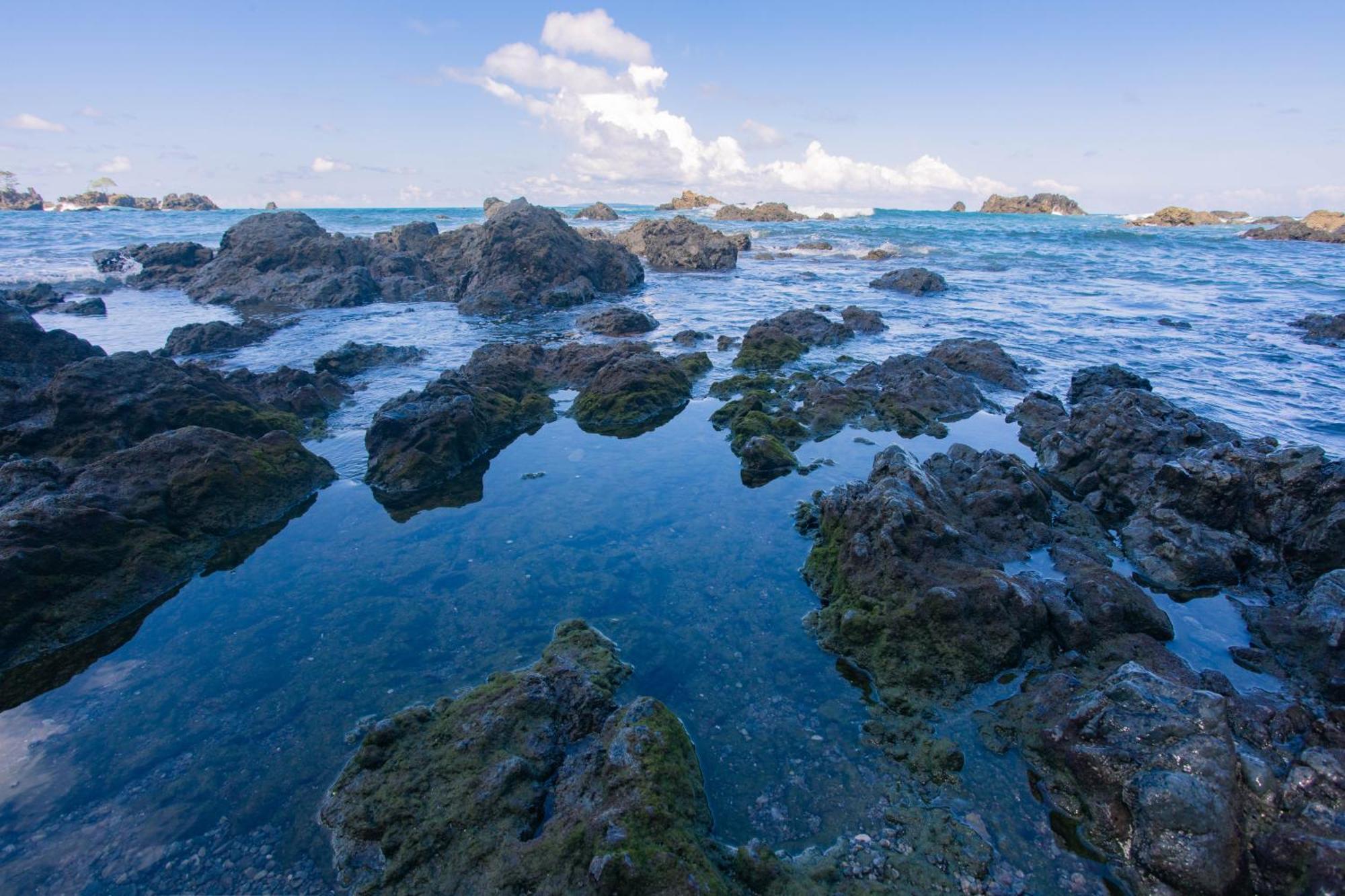 Corcovado Wilderness Lodge By Scp San Pedrillo Extérieur photo